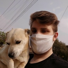 (Forest dark) tudo o que você precisa
