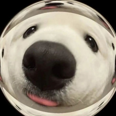 다다콩콩다콩이
