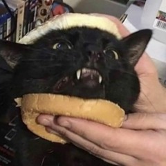 龍