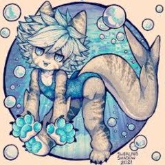 fishyshork