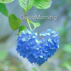 Ahmed