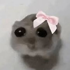 dumbylamby