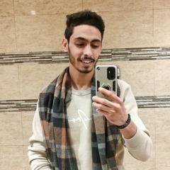 Muhammad S Shamroukh