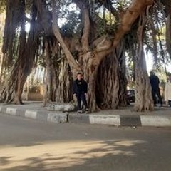 Hamza Fahmy