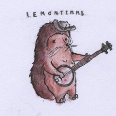 Lemontimms