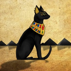 Spider Language Over Lunch