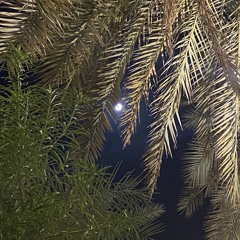 دام الليالي جابتك وانت محتاج