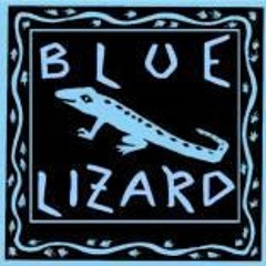 Blue Lizard Studio