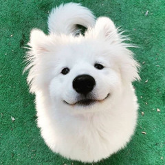 상현