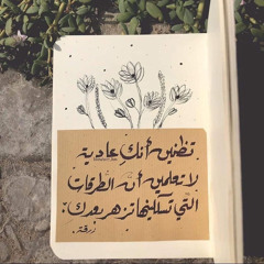 Menna toallah gamal