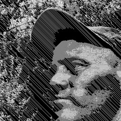 Loslopend Wild Sound 6tem