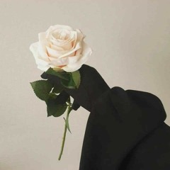 يارا علي 🌱