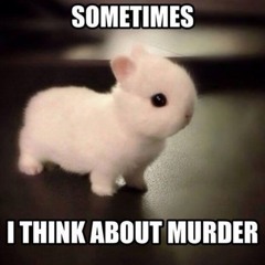 кот99/100
