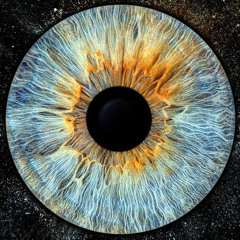 Neptic music