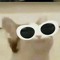 cyanidespitz