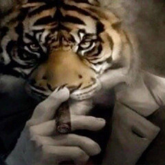 antiger
