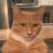 Marcus_Da_Cat