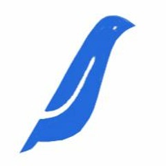 Bluebiird Demos