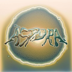 Áspora