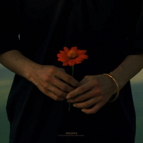 Hoang Phan Quan — artist photo