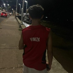 21.vinizx_