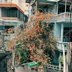 Phạm Đức Trung