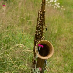 saxophonedave