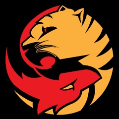 TIGER FOX Presents