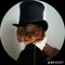 royal cat