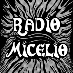 Radio Micelio