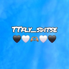 TTFLY._SDITSE