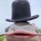 Feesh :3