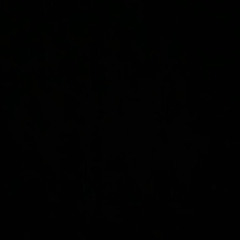 glizmok