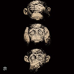 acechapoo