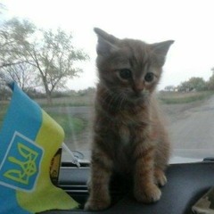 ксю