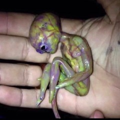 👽