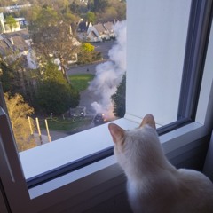 Chatpopo_