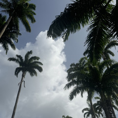Doudouw