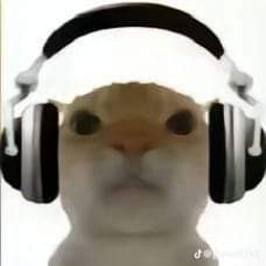 Duck.music