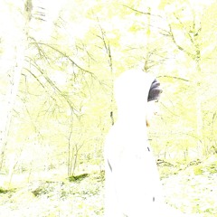glossprblm