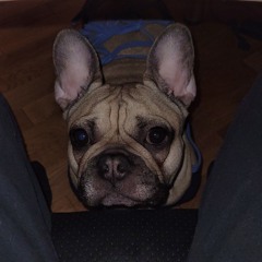 Piotr