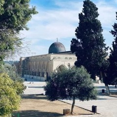 زاد الطريق