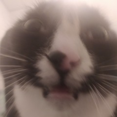 Your Heart Is So Loud - Colleen