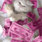 xo.kittysluuu.susu.