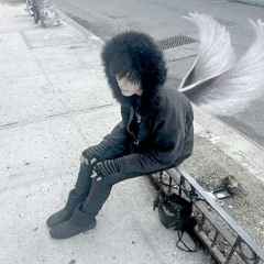 no v✧