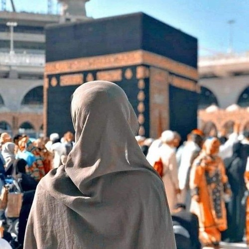 Anam Zainab’s avatar