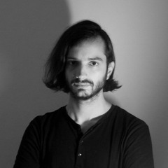 Carassius Auratus Nigrum