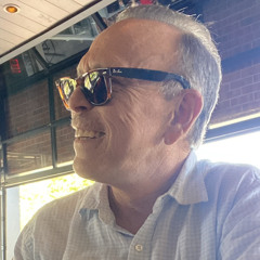 David Max Steinberg