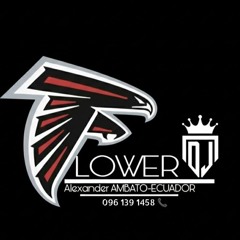 ALEXANDER-FLOWER DJJ