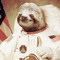 Neal Armsloth